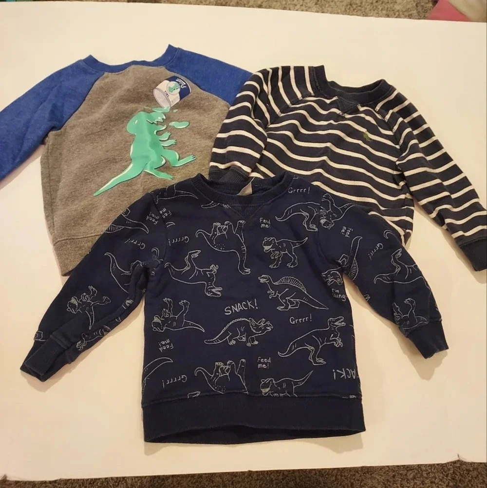 Set of 3 Baby Boy Dinosaur Theme Pull Over Sweatshirts in Size 18 Months